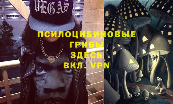 бошки Алексеевка
