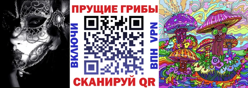 Галлюциногенные грибы мицелий  где найти   Евпатория 